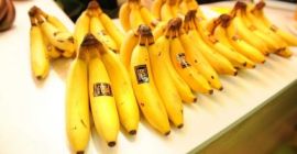 Świeże banany z Egiptu zapakowane w pudełko 20 kg