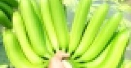 CO APP ONLY +237650251254 Eksportujemy COMPANY LIMITED, jednego z