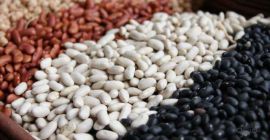 Eksport fasoli z Ukrainy Eksportujemy wysokiej jakości fasolę z