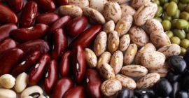 Fasola z pól Ukrainy, nowe zbiory, sprzedaż hurtowa. Dostarczamy