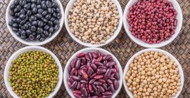 Bins Naturproduct sprzedaje wysokiej jakości ziarna z dostawą na