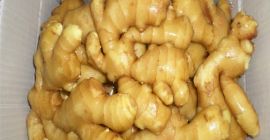 Nazwa Rodzaj imbiru Świeży imbir, suchy imbir Wydajność dostaw