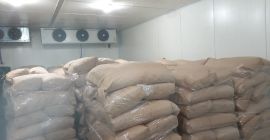 Sprzedam jeżyny dzikie 15 ton. Cena do negocjacji. +390986362046