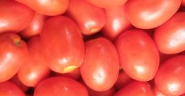 Sprzedam Lime polowa ( Dyno) hurt-detal Więcej informacji pod