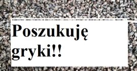 Witam. Kupię grykę konwencję w ilości powyżej 5t. Wilgotność
