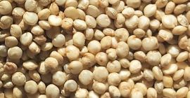 Quinoa to wyjątkowy produkt pochodzący z peruwiańskich Andów. Jednak
