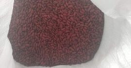 Sprzedam fasole czerwono tegoroczna sucha