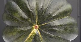 Sprzedam dynię muscat de provence ładnie wybarwiona różnego kalibru