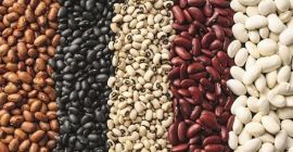 Fasolki. Wszelkie tomy. Dostawa Fasoli z Ukrainy. Sprzedaż fasoli