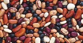 Sprzedaż hurtowa fasoli w asortymencie. Fasola z Ukrainy Trays