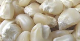 KUKURYDZA BIAŁA I ŻÓŁTA, KUKURYDZA CAŁE ZIARNA Kukurydza żółta