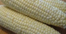 KUKURYDZA BIAŁA I ŻÓŁTA, KUKURYDZA CAŁE ZIARNA Kukurydza żółta