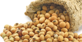 NASIONA SOJA Oferujemy usługi posprzedażowe dla naszych klientów, takie