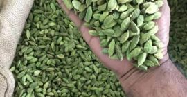 Dostarczamy kardamon czarny/zielony/brązowy z następującymi szczegółami: 1. SPECYFIKACJA (S)