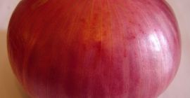 Niezależnie od tego, czy jest to biała, czerwona czy