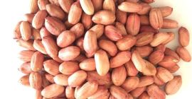 Good morning ladies and gentlemen. Our company can offer