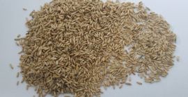 - Złoty Len 22-66 t w cenie 850 EUR/t;