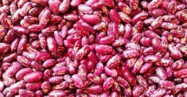 Drodzy Przyjaciele, oferuję Wam wysokiej jakości fasolę w niskich