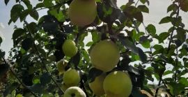 Aby uzyskać więcej informacji zadzwoń +37369416655