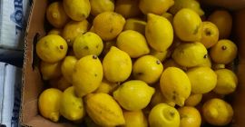 Sprzedam 2 klasę cytryny (z drobnymi skazami, uszkodzeniami mechanicznymi