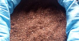 Witam, mam do sprzedania ok.12 ton gryki ekologicznej ,czyszczona