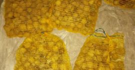 Sprzedam orzechy włoskie Jacki duży 60 kg i mały
