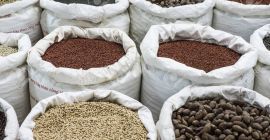 Jesteśmy dostawcami suchej fasoli, głównie LSKB, WKB, BKB, DRKB