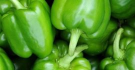 Posiadam na sprzedaż paprykę zieloną, gruntową ilości tirowe. Zapraszam