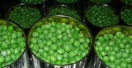 Sprzedam groszek zielony w puszce (400 g). Różne ilości