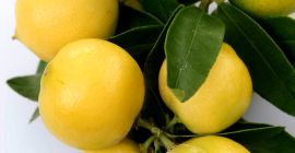 Słodka cytryna, zwana też limonką, śródziemnomorska limonka, słodka limonkowa