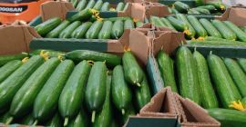 Sprzedam Ogórki Szklarniowe Z Białorusi, Gładkie, Długie. Tylko Ilości