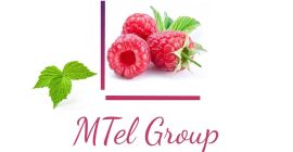 Witam, Jesteśmy Grupą Mtel Fruit, Grupą Firm zajmujących się