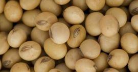 Nasze produkty Ceny FOB, Wszystkie dostępne u nas szukamy