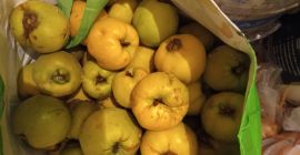 Owoce dojrzałe świeże ekologiczne z okolic Płońsk w promieniu