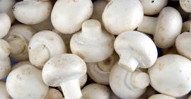 Numery Hot Line Whats-App: +27 73 250 5543 Specyfikacja