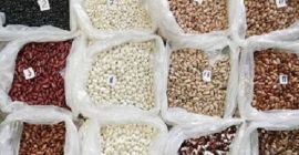 Fasola uprawiana na ukraińskiej wsi. W sprzedaży jest tylko