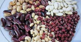 Hurtownia fasoli (produkcja na Ukrainie) Ukraińska firma Bins Naturproduct