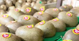 Kiwi Jakość, Rozmiar, Cena: Mamy najlepsze jakości, nasze kiwi
