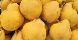 Organiczna pigwa ze skórką cytrynowo-żółtą, pokryta szarym puchem. Miąższ