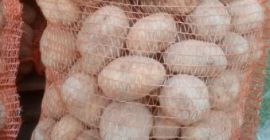 SPRZEDAM ZIEMNIAKI SORTOWANE W WORKACH PO 30 KG, MOŻLIWOŚĆ