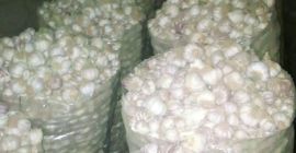 Wubinco Nig. LTD jest firmą rolniczą, jesteśmy firmą z