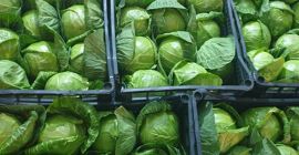 Oryginał pochodzi z Albanii i jest bardzo dobrym produktem.