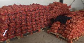 FERMA POMICOLA LUCA SRL - Rumunia Milotai 10 Minimalna