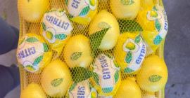 Sprzedam cytrynę Mayer (produkcja w Turcji) Certyfikat Jakości Ceny