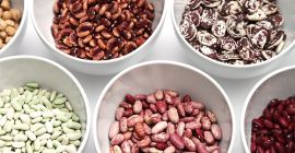 Fasola w asortymencie z dostawą z Ukrainy Sprzedajemy fasolę