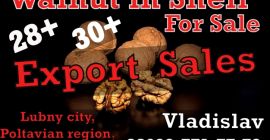 Krótka informacja Milutraid@gmail.com +38 0997717772 Vladislav Mówi po rosyjsku