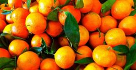 Co tydzień kupuję tonę Wattap_0040731722031