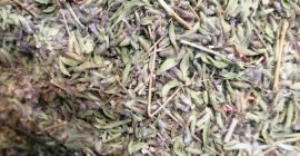 Tymianek 100% naturalny Sprzedaż hurtowa w dużej ilości