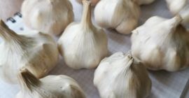 Szanowni Państwo, chciałbym sprzedać około 500 kg polskiego czosnku