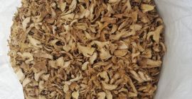 imbir. pokrojony produkt. 6mm świeżego cięcia. suszenie odwadniające. temperatura